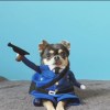 小王