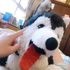 huskygirl