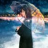 勇敢的小白