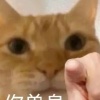 厕所老板