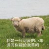 醉酒青牛