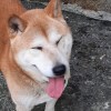 鑽