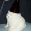 hy_hy