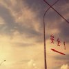 你聽見了嗎