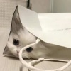 HzzCx