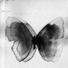 C.