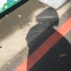周毛毛