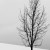 icy_forest_d0l