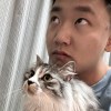 凍齋啡走甜