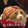 ieuanz