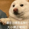 大神卖身不卖艺