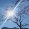 lumi