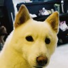 郭瑄