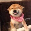 糾結薇