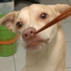 曾小東