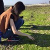 陳映竿