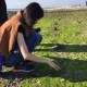陳映竿