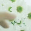 苏打