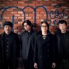 昆蟲白 insecteens