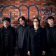 昆蟲白 insecteens