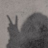 Wu