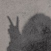 Wu