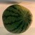 Guava
