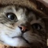 那一定是?啦