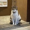 溼滑