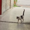 斤欠八