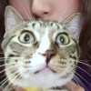 Jamie