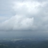 桂