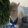 naomi_2001813