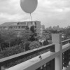 核桃家