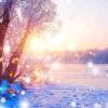 jacqueline_1234