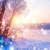 jacqueline_1234