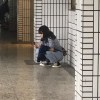阿蓁蓁