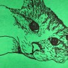 小貓麥西西