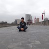 木光