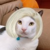 豬排男友