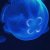dark_pond_ojj