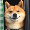 阿北