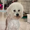 jeffrey_lin