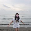 帕尼