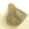 艸氾 女某 木才n.76339529210