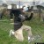 rzone_