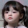 蛆蛆