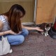 jessica_wong