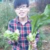 吳佳