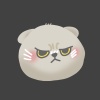 jiaying218